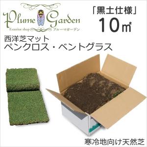 天然芝 ロール 10平米 西洋芝 ベントグラス ...の商品画像