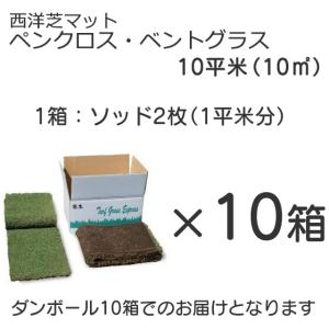 天然芝 ロール 10平米 西洋芝 ベントグラス...の詳細画像4