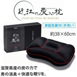 日本製京都西川 近江の炭入り枕 消臭+快適 ピロー 38×60cm