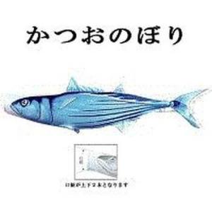 鯉のぼり 変わり鯉のぼり【魚図鑑シリーズ 鰹】 かつおのぼり 2ｍ カツオ