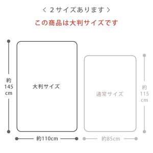 ガーゼケット ベビーケット 6重 sora そ...の詳細画像2