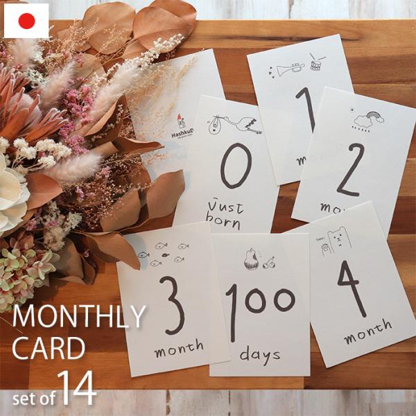 マンスリーカード 14枚入り 月齢カード A6サイズ 月齢フォト ギフト 出産祝い