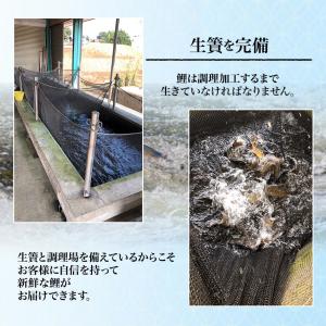 冷蔵 鯉のあらい 自家製酢味噌付き 1〜2人前...の詳細画像2
