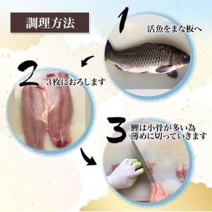 冷蔵 鯉のあらい 自家製酢味噌付き 1〜2人前...の詳細画像3