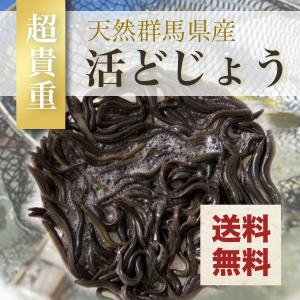 ドジョウ どじょう 天然 国産 群馬県産 地物 200ｇ 食用
