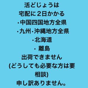 ドジョウ どじょう 天然 国産 群馬県産 地物...の詳細画像1