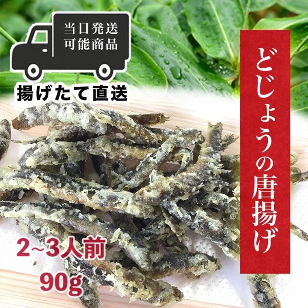 どじょうの唐揚げ 90g 2~3人前 出来立て発送 ドジョウ 泥鰌 惣菜 おつまみ 肴