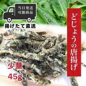 どじょうの唐揚げ 約45g 1人前 少量 お試し品 出来立て発送 ドジョウ 泥鰌 惣菜 おつまみ 肴 代引き不可