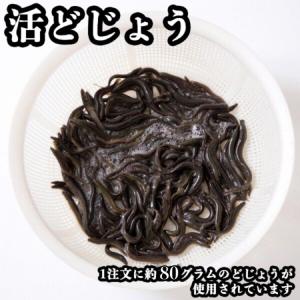 どじょうの唐揚げ 約45g 1人前 少量 お試...の詳細画像3