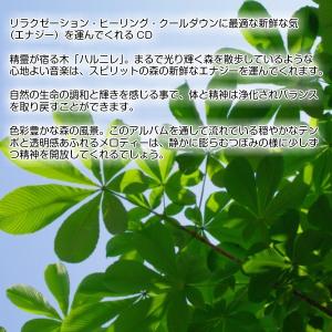 ヒーリング CD ハルニレ (再発売Ver) ...の詳細画像2