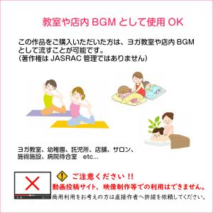 ヒーリング CD レゾナンス RESONANC...の詳細画像3