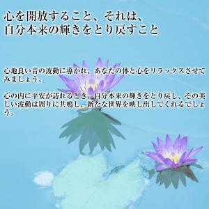 528hz CD ヨガニードラ ベスト YOG...の詳細画像1