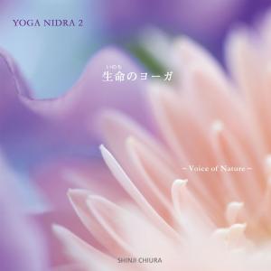 ヒーリング CD YOGA NIDRA 2 生命のヨーガ / 知浦伸司 店内BGM使用可