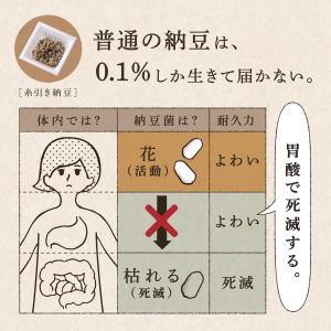 はすや粉なっとう[あらびき]180g 10袋セ...の詳細画像2