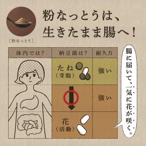 はすや粉なっとう[あらびき]180g 10袋セ...の詳細画像3