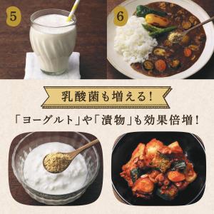 はすや粉なっとう[あらびき]180g 10袋セ...の詳細画像5