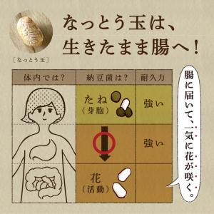 はすや なっとう玉150g(乾燥納豆、ドライ納豆)の詳細画像2