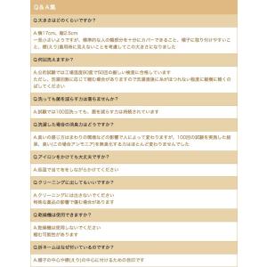ハットライナー 速乾・抗菌・抗臭の汚れ止め 帽...の詳細画像3