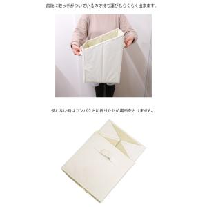 縦型 収納ボックス 収納BOX 収納用品 カラ...の詳細画像2