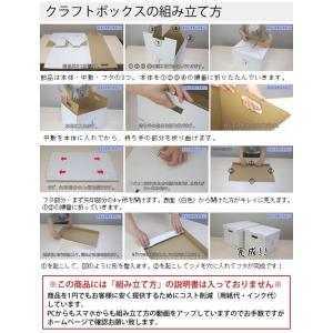 収納ボックス クラフトボックスL 4個セット ...の詳細画像5