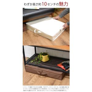 サイドファスナー収納ボックスLL ベット下 ソ...の詳細画像1