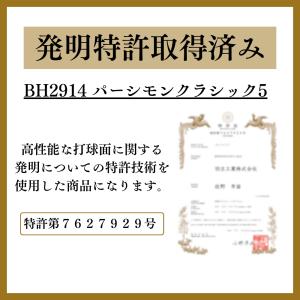 グランドゴルフ グラウンドゴルフ クラブ グラ...の詳細画像1