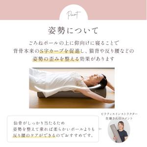 ストレッチ用ポール 整体師おすすめ ヨガポール...の詳細画像3
