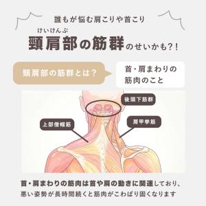 首肩マッサージ機 リラクシングワーク ご褒美シ...の詳細画像3