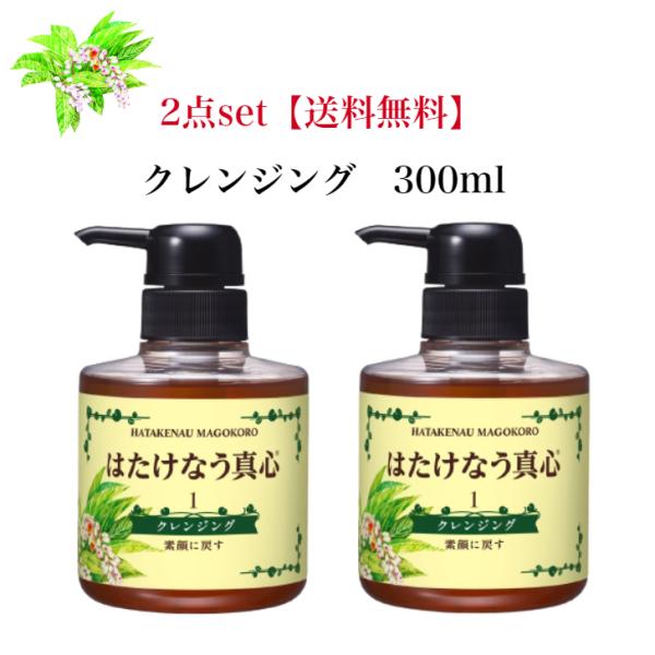 (2点セット)クレンジングジェル  300ml  日本製 天然由来 保湿 肌荒れ 敏感肌  乾燥肌 ...