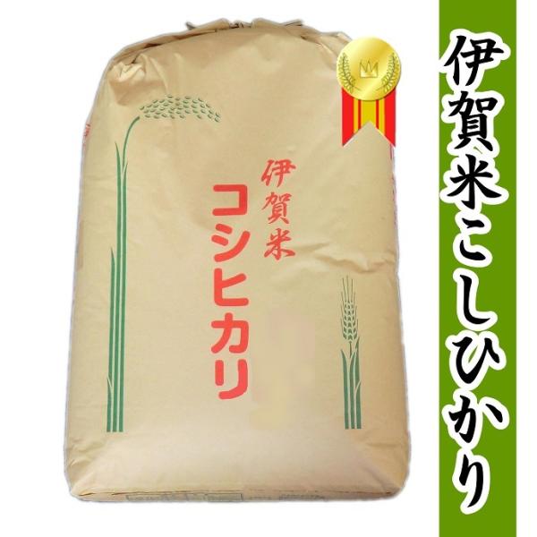 発送直前精米 令和5年産 三重県伊賀産こしひかり24kg　白米・分づき米　産地直送　つきたて新鮮　送...