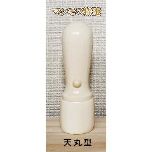 法人用 会社実印 マンモス(特選)(天丸型)18...の商品画像