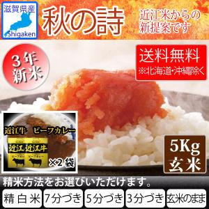 近江牛カレー160ｇ2袋付き 令和4年新米 滋賀県産秋の詩5Kg玄米 【精米方法が選べます】 お好きな分つきに 送料無料※一部地域を除く｜hatasyou-ten