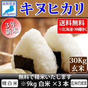 令和4年新米  滋賀県産キヌヒカリ30Kg玄米　精米無料 健康応援   送料無料※一部地域を除く｜hatasyou-ten