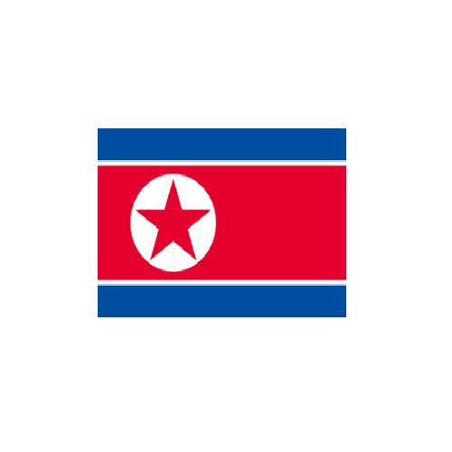 旗 外国旗 オーダー 朝鮮民主主義人民共和国 H90×W135cm テトロンポンジ製 Democra...