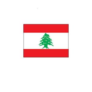 旗 外国旗 オーダー レバノン H90×W135cm テトロンポンジ製 Lebanon 旗 フラッグ...