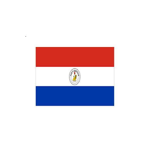 旗 外国旗 オーダー パラグアイ 70×105cm テトロンポンジ製 Paraguay 旗 フラッグ...