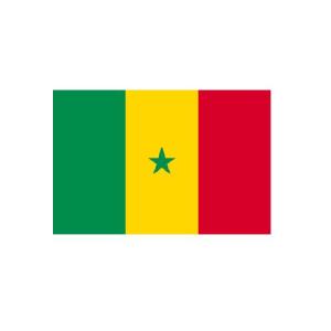 旗 外国旗 オーダー セネガル H90×W135cm テトロンポンジ製 Senegal 旗 フラッグ 160か国対応｜hatawa-koko