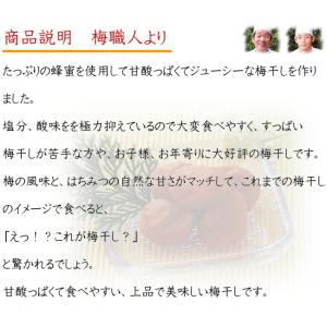 送料無料 はちみつ梅(塩分約5%)梅干し820g入りの詳細画像1