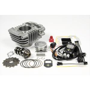 APE GS1000 GSX1100S系 マニュアル カムチェーン テンショナー ST1100