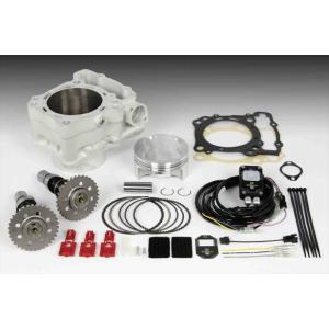 EFFEX エフェックス ローダウンキット 25mmダウン ZZR1400 06-11/ZX