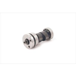 スペシャルパーツ武川 SP TAKEGAWA KSR110 エンジン部品 20/25Dカム