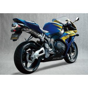 ASAHINA Racing（アサヒナレーシング） フルチタンEX GPスタイル