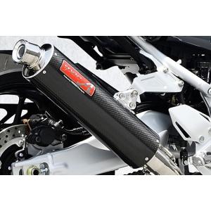 AKRAPOVIC アクラポビッチ 政府認証マフラー RACING LINE フル