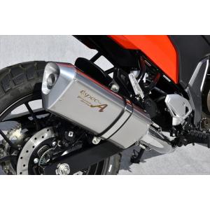 BEAMS G349-53-S2J ビームス Vストローム250SX R-EVO カーボン