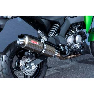 バイク マフラー ビート BEET ナサートR-Evo TYPE2 クリアTI Z125PRO