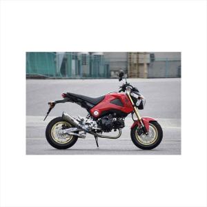 バイク マフラー OVER GPパフォーマンス チタン DOWN RS-R