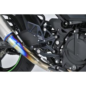 kawasaki zh2用 DNA エアフィルター DNA high performance filter voor de Kawasaki ZH2 / SE '20- - MDI