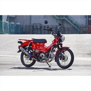 マフラー アールズギア ワイバンクラシック クラシカルタイプ W400 全
