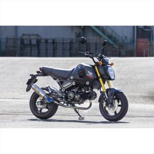 マフラー オーヴァーレーシング GP-PERFORMANCE GROM 23-  16-224-06 取寄品｜hatoya-parts-nb