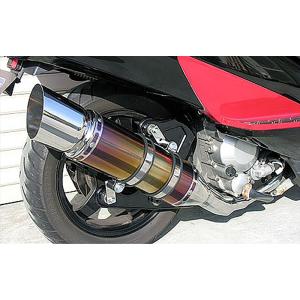 ツルノテクニカルサービス NINJA250 NINJA250R デュアルレーシング